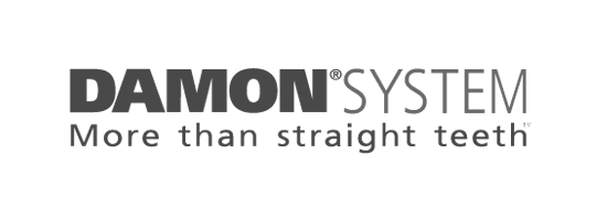 Damon System